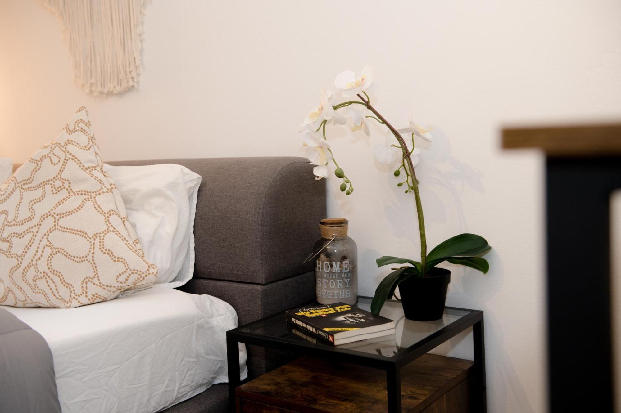 Entire Tulum Apartment, In The Center Of Виена Екстериор снимка